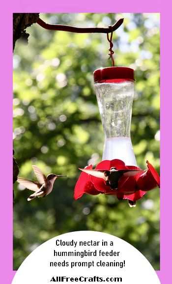 cloudy hummingbird food needs cleaning