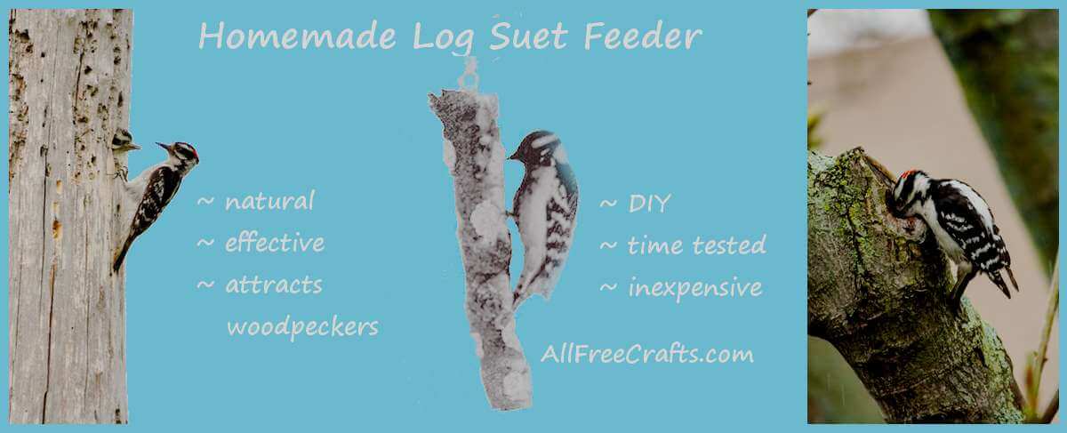 homemade log suet feeder