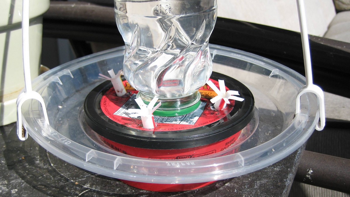 take-out lid makes a perch for hummingbird feeder