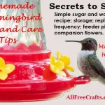 hummingbird food recipe and placement tips banner