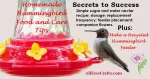 hummingbird food recipe and placement tips banner