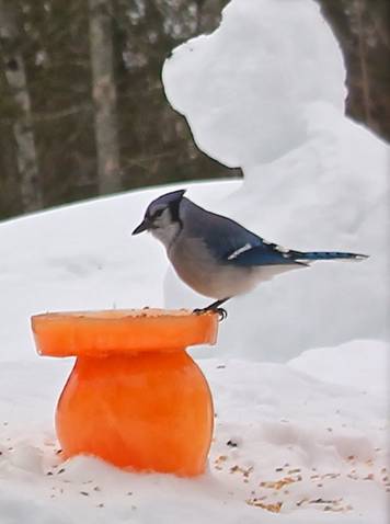 ice sculpture bird feeder