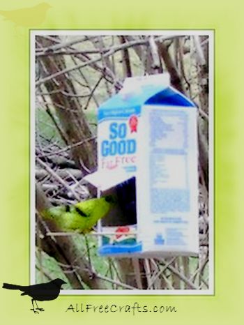 milk carton bird feeder