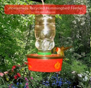 recycled nectar feeder with hummingbird feeding