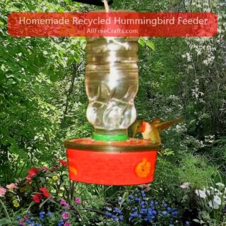 recycled nectar feeder with hummingbird feeding