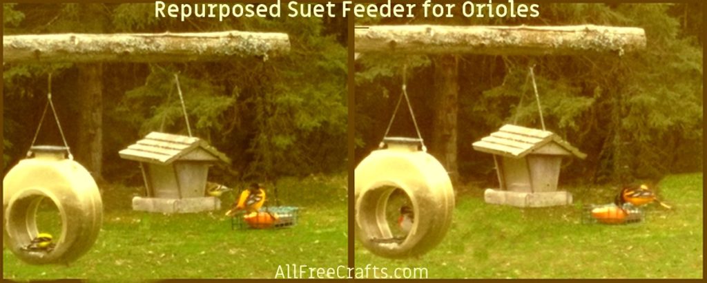 re-purposed oriole feeder