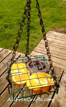 suet feeder used for orange and grape jelly