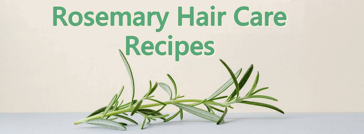 Rosemary Hair Care