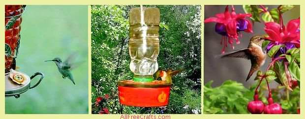three hummingbirds, two using a feeder, one eating from a fuchsia flower