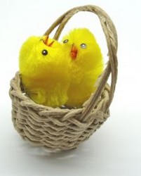 fluffy yellow easter chicks
