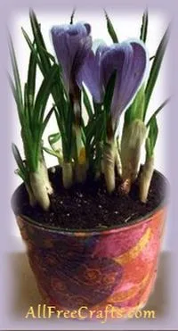 original photo of decoupaged pots with crocus flowers