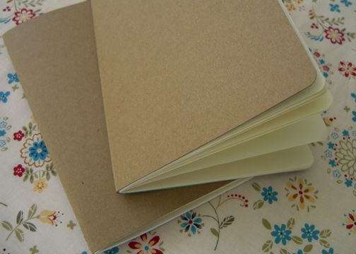 cereal box journals