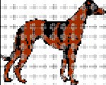 standing hound dog