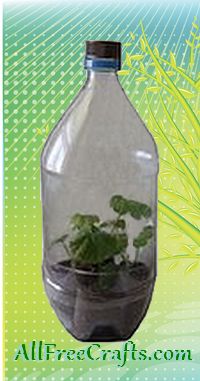 bottle greenhouse