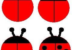 ladybug diagram