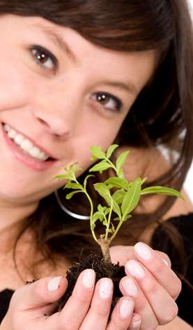 woman holding seedling