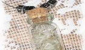 dandelion wishes in a jar
