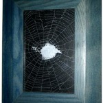 mounted and framed spider web