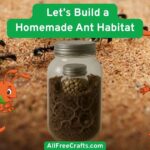 let's build a homemade ant habitat