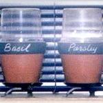 seedling pots with chalk board labels
