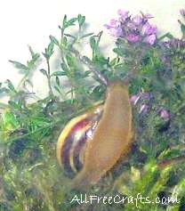 snail climbing on glass