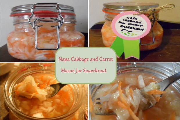 napa cabbage and carrot sauerkraut