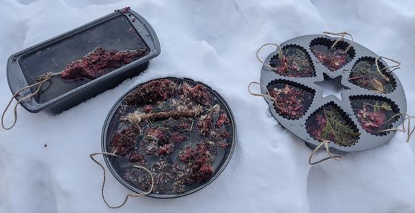 cake pans hold water for ice ornaments