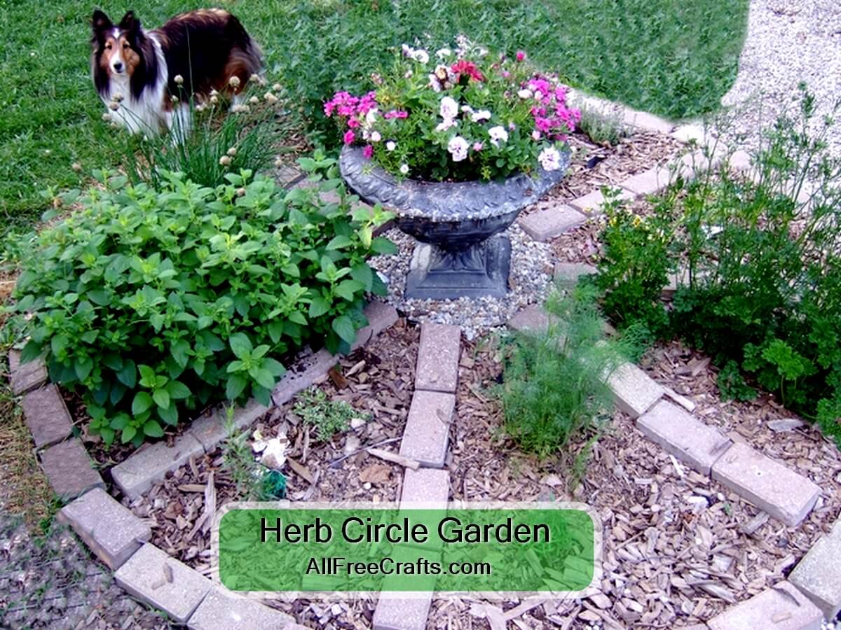 herb circle garden