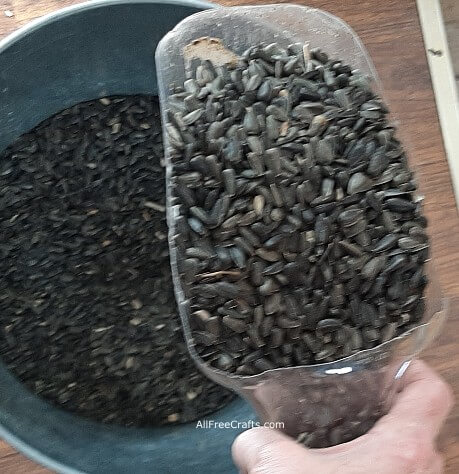 recycled scoop filled with black oil sunflower seeds