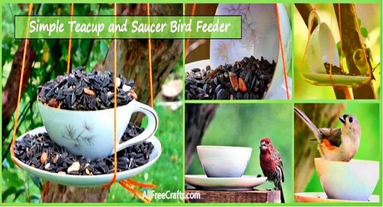 Simple Cup and Saucer Bird Feeder