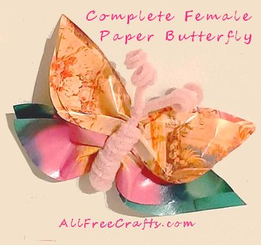 complete female paper butterfly