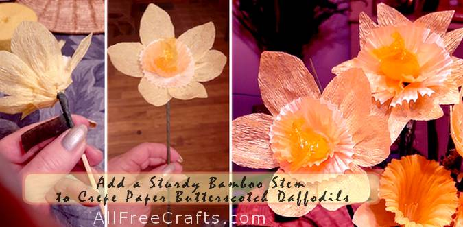 add a bamboo stem to butterscotch daffodils