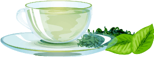 green herb tea