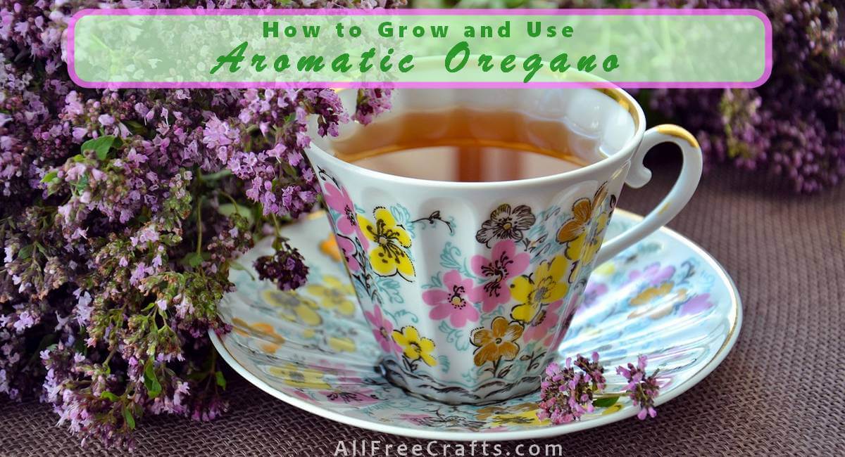 oregano flowers and a cup  of oregano tea