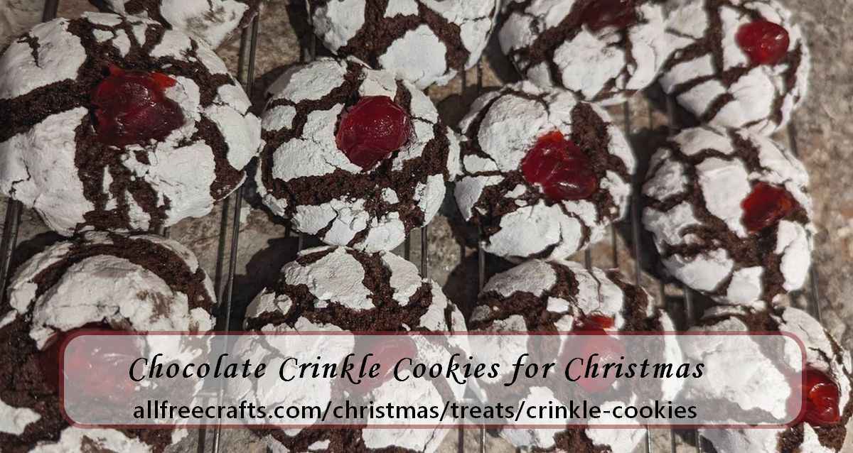 chocolate crinkle cookies baked for Christmas