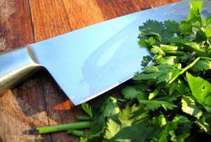 chopcilantro (11K)