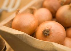 onions