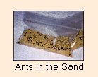 ants
