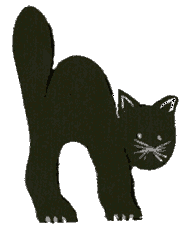 catpatt (5K)