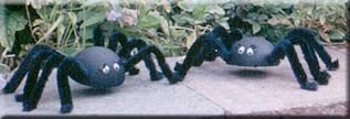 crawliespiders (13K)