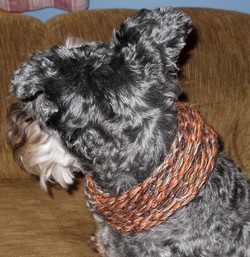 dogcowl2