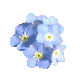 fgetsDD (2K)
