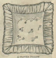 1904clover 