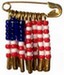 safety pin flag