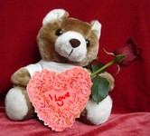 teddy rose heart